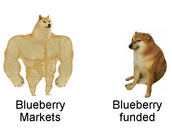 Blueberry Funded meme